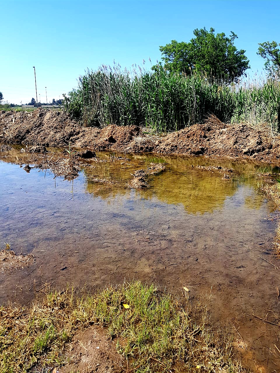 WhatsApp Image 2020-08-20 at 4.58.20 PM WhatsApp Image 2020-08-20 at 4.58.20 PM